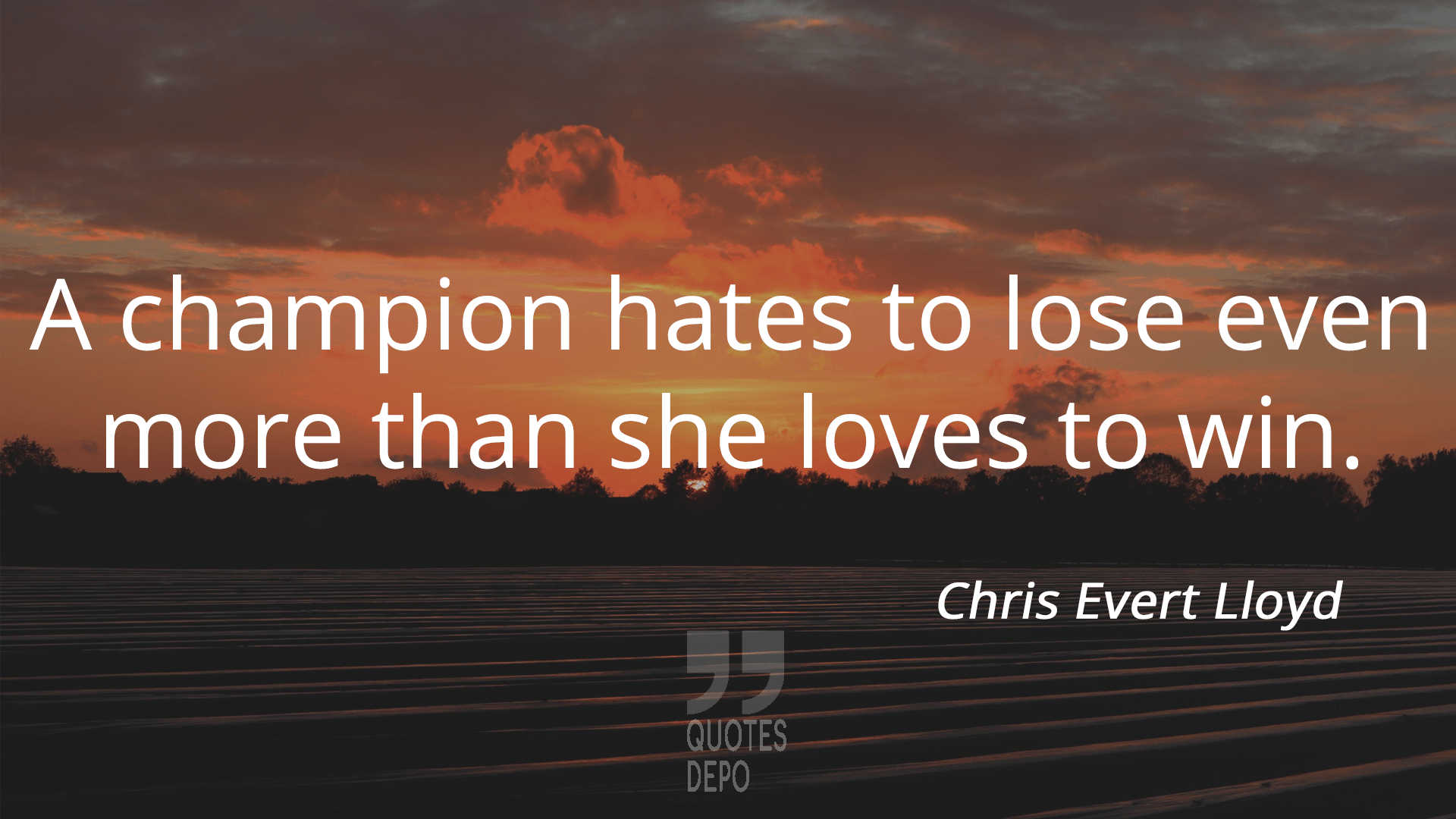 a champion hates to lose even more - chris evert lloyd quotes