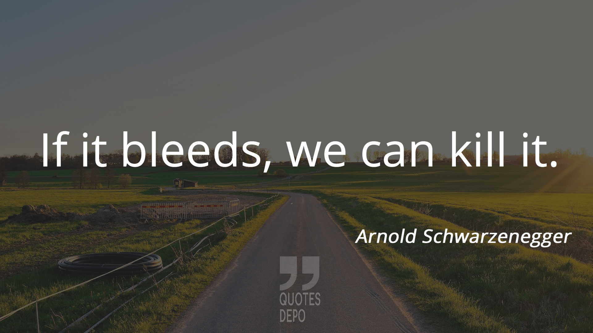 if it bleeds we can kill it - arnold schwarzenegger quotes