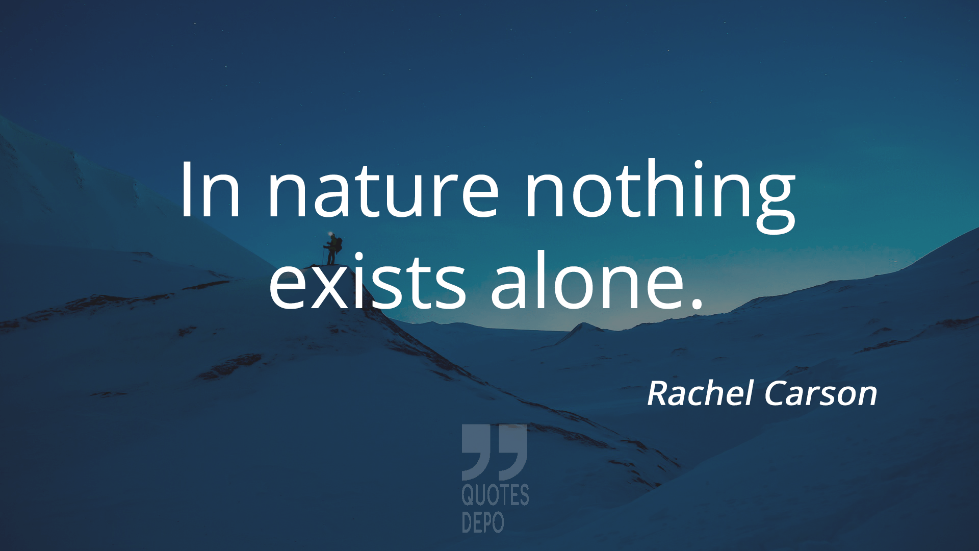 in nature nothing exists alone - rachel carson quotes