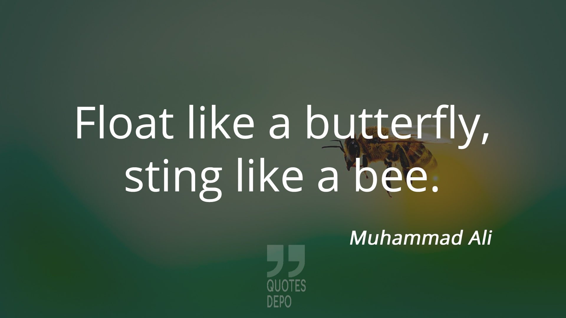 float like a butterfly sting like a bee - muhammad ali quotes