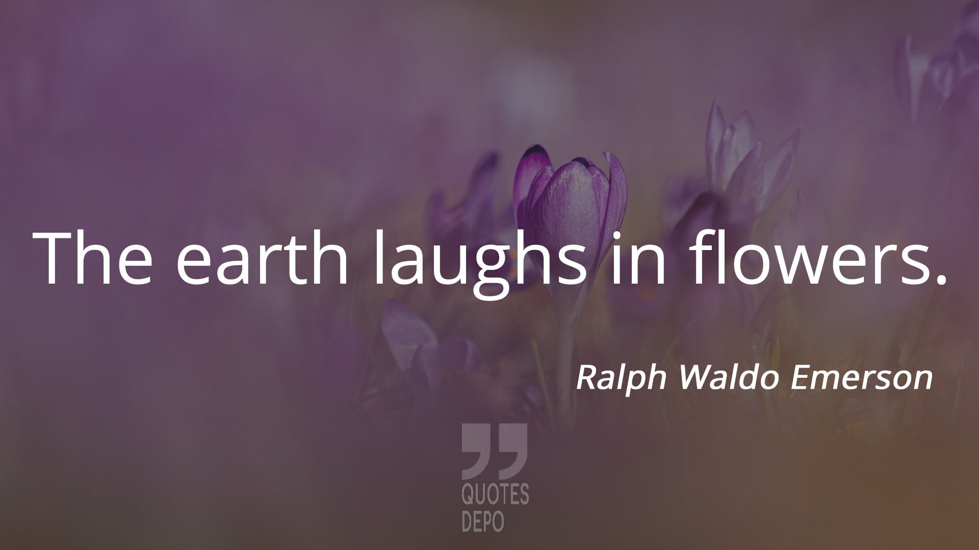 the earth laughs in flowers - ralph waldo emerson quotes