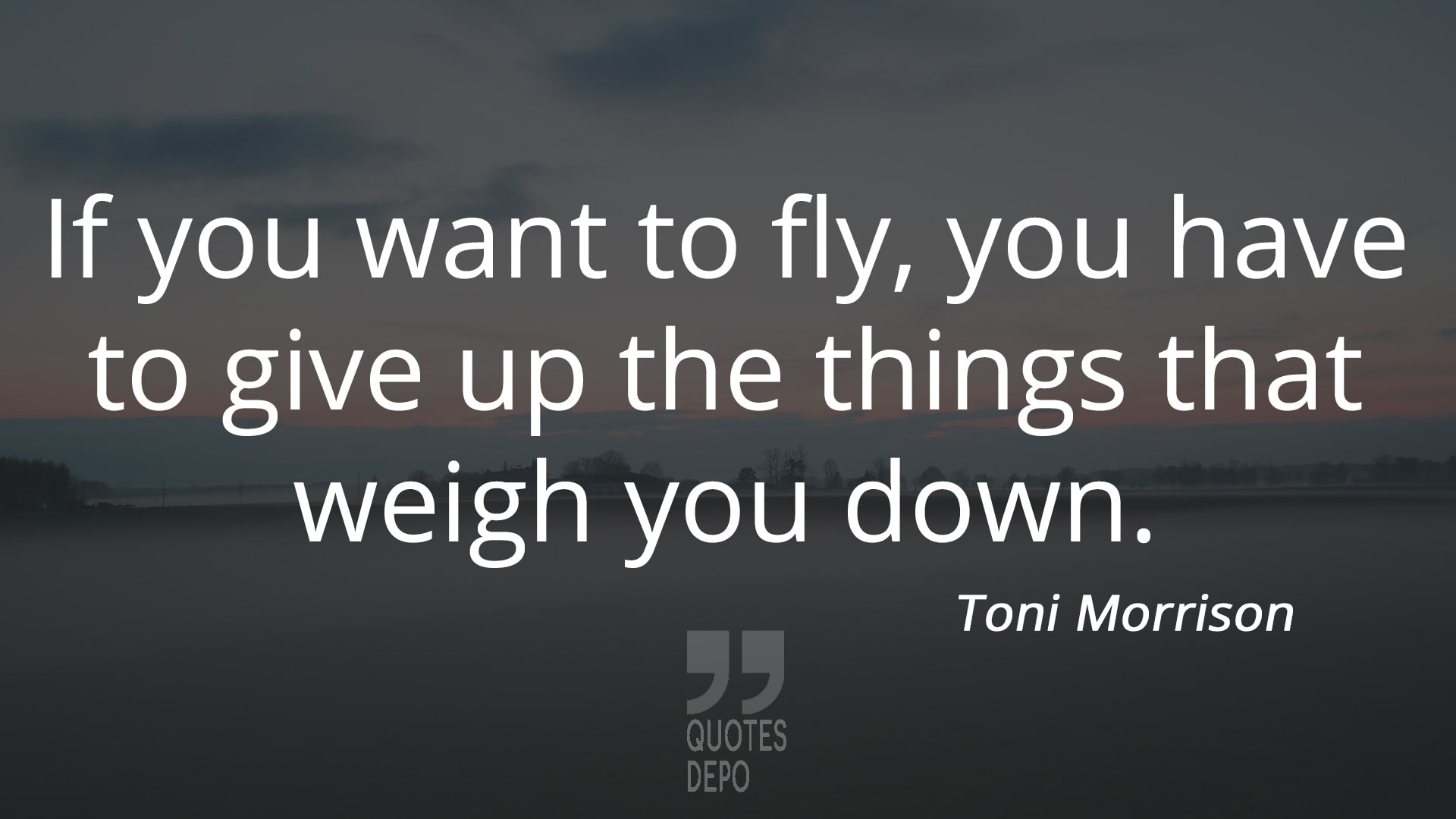 if you want to fly you have to give up the things that weigh you down - toni morrison quotes